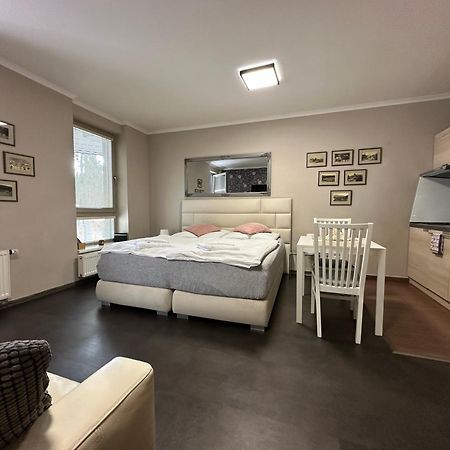 Harrachov Resident Apartments "Terrace & Chill" - High Speed Wifi, Smart Tv, Netflix, Disney Plus Bagian luar foto