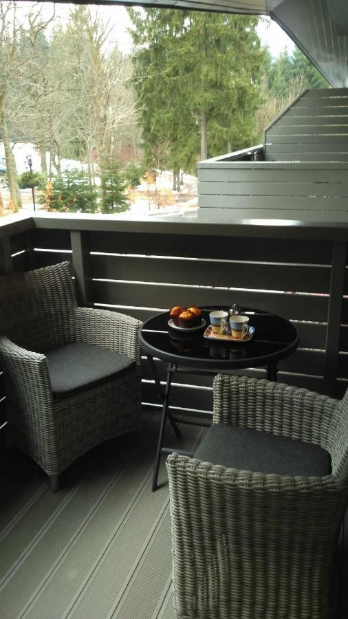 Harrachov Resident Apartments "Terrace & Chill" - High Speed Wifi, Smart Tv, Netflix, Disney Plus Bagian luar foto